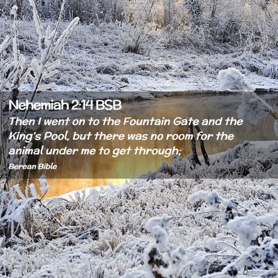 Picture 02 - Nehemiah 2:14 BSB - Then I went on to the Fountain Gate and the - Bible Verse Picture