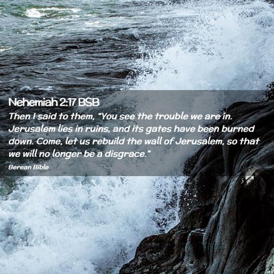 Picture 02 - Nehemiah 2:17 BSB - Then I said to them, “You see the trouble we - Bible Verse Picture