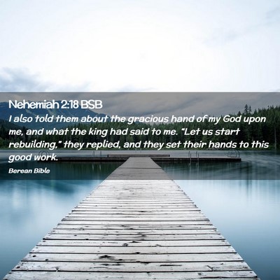 Picture 02 - Nehemiah 2:18 BSB - I also told them about the gracious hand of my - Bible Verse Picture