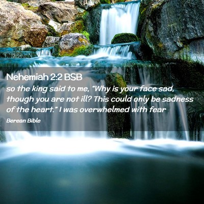 Picture 02 - Nehemiah 2:2 BSB - so the king said to me, “Why is your face sad, - Bible Verse Picture
