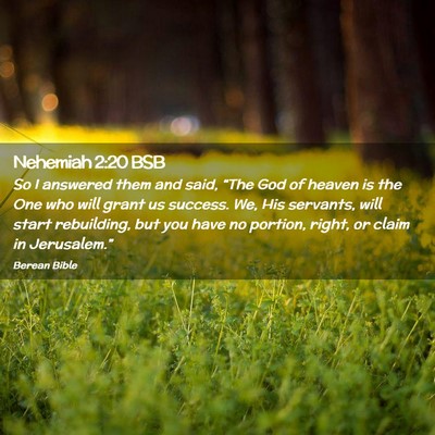 Picture 02 - Nehemiah 2:20 BSB - So I answered them and said, “The God of heaven - Bible Verse Picture