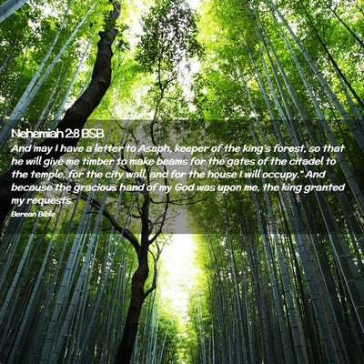 Picture 02 - Nehemiah 2:8 BSB - And may I have a letter to Asaph, keeper of the - Bible Verse Picture