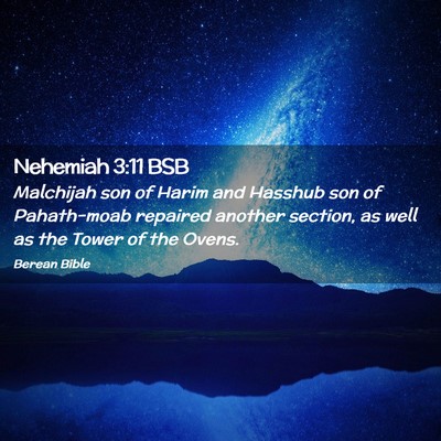 Picture 02 - Nehemiah 3:11 BSB - Malchijah son of Harim and Hasshub son of - Bible Verse Picture