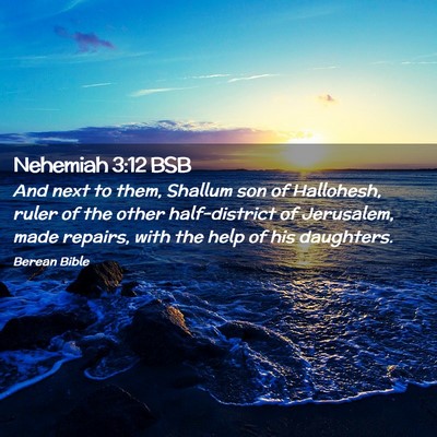 Picture 02 - Nehemiah 3:12 BSB - And next to them, Shallum son of Hallohesh, ruler - Bible Verse Picture