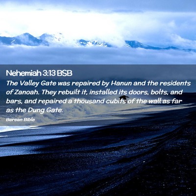 Picture 02 - Nehemiah 3:13 BSB - The Valley Gate was repaired by Hanun and the - Bible Verse Picture