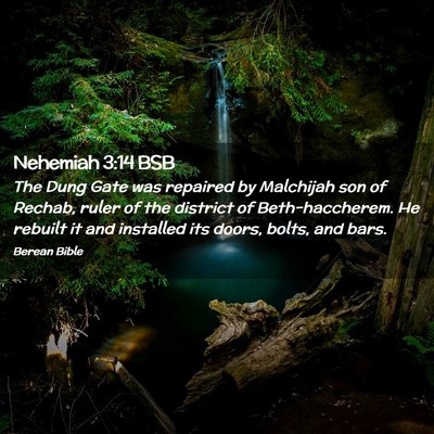 Picture 02 - Nehemiah 3:14 BSB - The Dung Gate was repaired by Malchijah son of - Bible Verse Picture