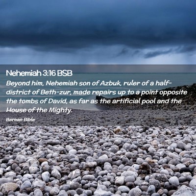 Picture 02 - Nehemiah 3:16 BSB - Beyond him, Nehemiah son of Azbuk, ruler of a - Bible Verse Picture