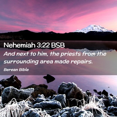 Picture 02 - Nehemiah 3:22 BSB - And next to him, the priests from the surrounding - Bible Verse Picture