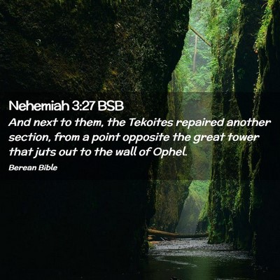 Picture 02 - Nehemiah 3:27 BSB - And next to them, the Tekoites repaired another - Bible Verse Picture