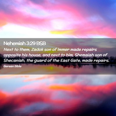 Picture 02 - Nehemiah 3:29 BSB - Next to them, Zadok son of Immer made repairs - Bible Verse Picture