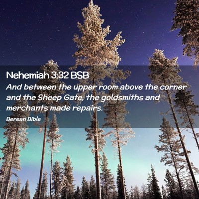 Picture 02 - Nehemiah 3:32 BSB - And between the upper room above the corner and - Bible Verse Picture