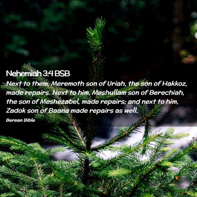 Picture 02 - Nehemiah 3:4 BSB - Next to them, Meremoth son of Uriah, the son of - Bible Verse Picture