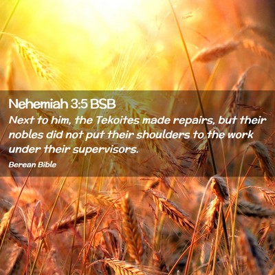 Picture 02 - Nehemiah 3:5 BSB - Next to him, the Tekoites made repairs, but their - Bible Verse Picture