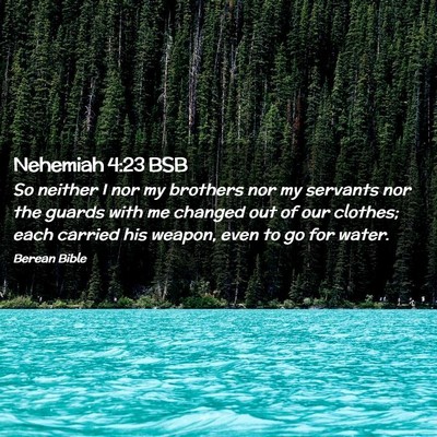 Picture 02 - Nehemiah 4:23 BSB - So neither I nor my brothers nor my servants nor - Bible Verse Picture