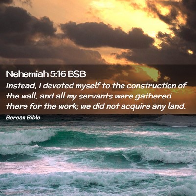 Picture 02 - Nehemiah 5:16 BSB - Instead, I devoted myself to the construction of - Bible Verse Picture