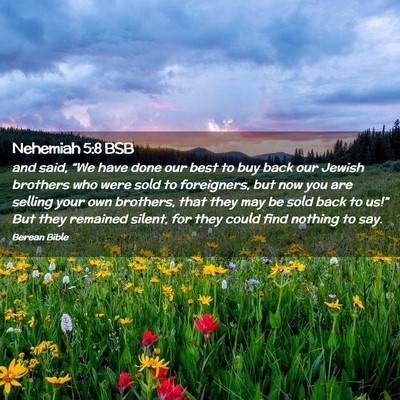Picture 02 - Nehemiah 5:8 BSB - and said, “We have done our best to buy back - Bible Verse Picture