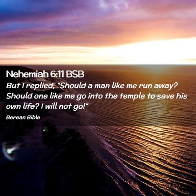 Picture 02 - Nehemiah 6:11 BSB - But I replied, “Should a man like me run away? - Bible Verse Picture