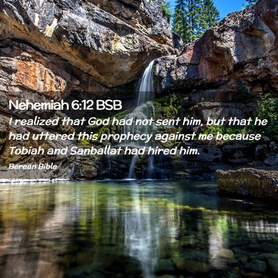 Picture 02 - Nehemiah 6:12 BSB - I realized that God had not sent him, but that he - Bible Verse Picture