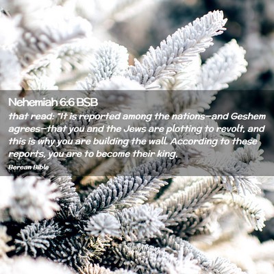 Picture 02 - Nehemiah 6:6 BSB - that read: “It is reported among the - Bible Verse Picture