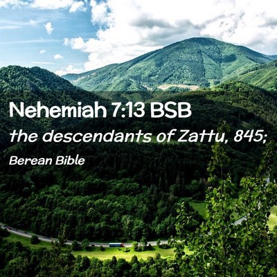Picture 02 - Nehemiah 7:13 BSB - the descendants of Zattu, - Bible Verse Picture