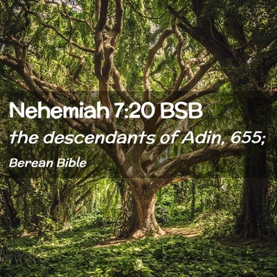 Picture 02 - Nehemiah 7:20 BSB - the descendants of Adin, - Bible Verse Picture