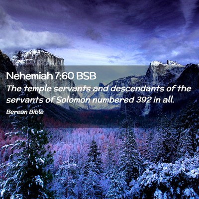 Picture 02 - Nehemiah 7:60 BSB - The temple servants and descendants of the - Bible Verse Picture