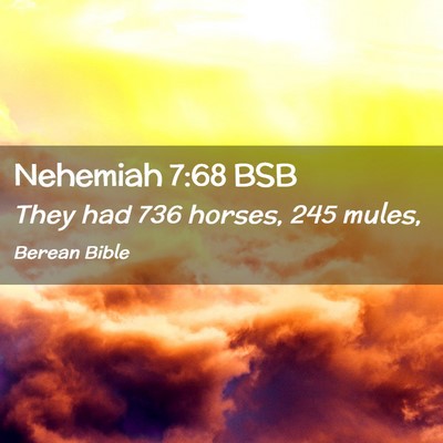Picture 02 - Nehemiah 7:68 BSB - They had 736 horses, 245 - Bible Verse Picture