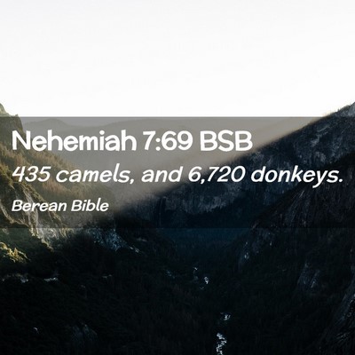 Picture 02 - Nehemiah 7:69 BSB - 435 camels, and 6,720 - Bible Verse Picture