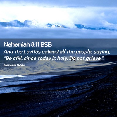 Picture 02 - Nehemiah 8:11 BSB - And the Levites calmed all the people, saying, - Bible Verse Picture