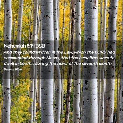 Picture 02 - Nehemiah 8:14 BSB - And they found written in the Law, which the LORD - Bible Verse Picture