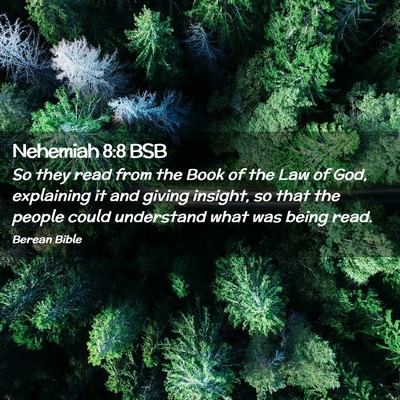 Picture 02 - Nehemiah 8:8 BSB - So they read from the Book of the Law of God, - Bible Verse Picture