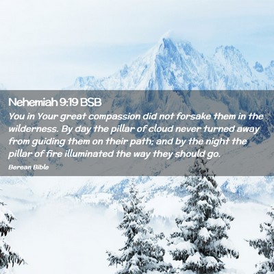 Picture 02 - Nehemiah 9:19 BSB - You in Your great compassion did not forsake them - Bible Verse Picture