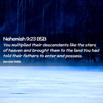 Picture 02 - Nehemiah 9:23 BSB - You multiplied their descendants like the stars - Bible Verse Picture