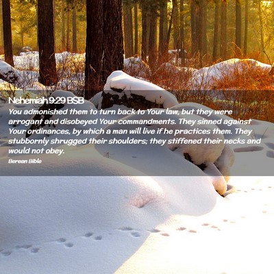 Picture 02 - Nehemiah 9:29 BSB - You admonished them to turn back to Your law, but - Bible Verse Picture