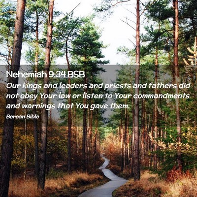 Picture 02 - Nehemiah 9:34 BSB - Our kings and leaders and priests and fathers did - Bible Verse Picture