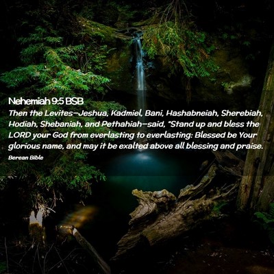 Picture 02 - Nehemiah 9:5 BSB - Then the Levites—Jeshua, Kadmiel, Bani, - Bible Verse Picture