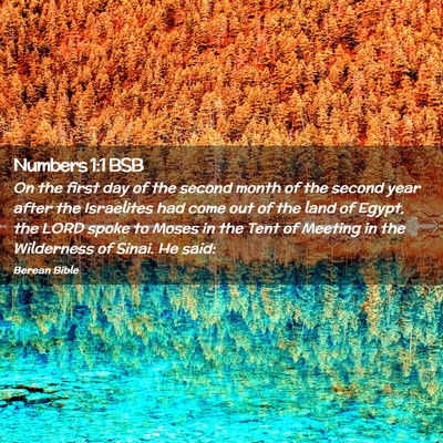 Picture 02 - Numbers 1:1 BSB - On the first day of the second month of the - Bible Verse Picture