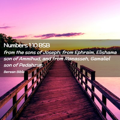 Picture 02 - Numbers 1:10 BSB - from the sons of Joseph: from Ephraim, Elishama - Bible Verse Picture