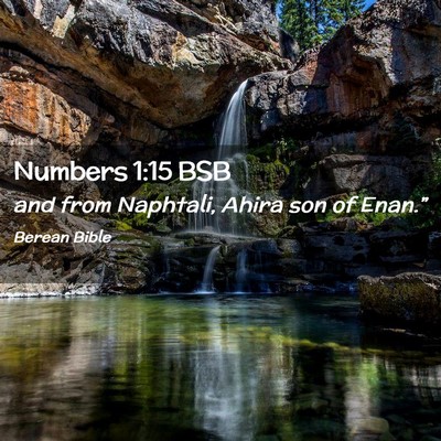 Picture 02 - Numbers 1:15 BSB - and from Naphtali, Ahira son of - Bible Verse Picture