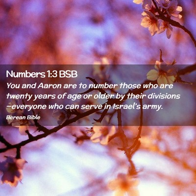 Picture 02 - Numbers 1:3 BSB - You and Aaron are to number those who are twenty - Bible Verse Picture
