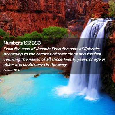 Picture 02 - Numbers 1:32 BSB - From the sons of Joseph: From the sons of - Bible Verse Picture