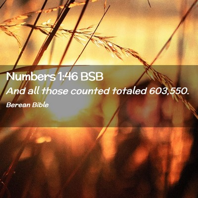 Picture 02 - Numbers 1:46 BSB - And all those counted totaled - Bible Verse Picture