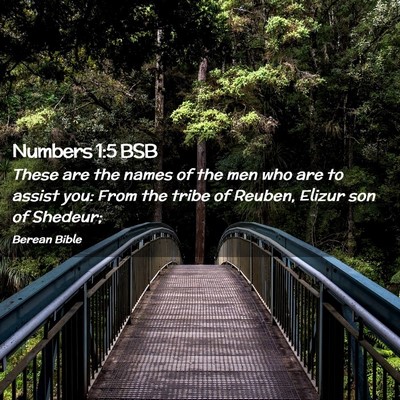 Picture 02 - Numbers 1:5 BSB - These are the names of the men who are to assist - Bible Verse Picture