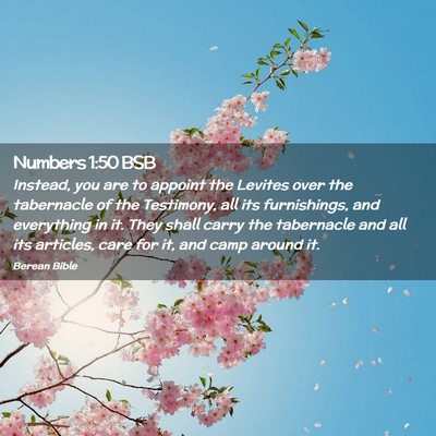 Picture 02 - Numbers 1:50 BSB - Instead, you are to appoint the Levites over the - Bible Verse Picture