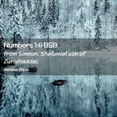 Picture 02 - Numbers 1:6 BSB - from Simeon, Shelumiel son of - Bible Verse Picture