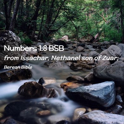 Picture 02 - Numbers 1:8 BSB - from Issachar, Nethanel son of - Bible Verse Picture