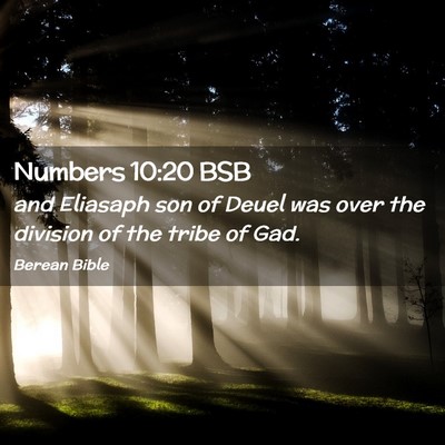 Picture 02 - Numbers 10:20 BSB - and Eliasaph son of Deuel was over the division - Bible Verse Picture