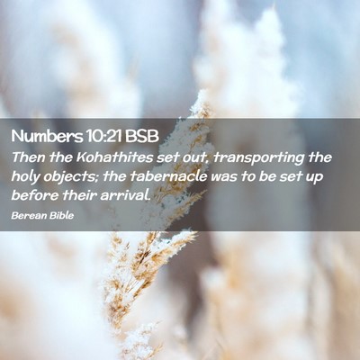 Picture 02 - Numbers 10:21 BSB - Then the Kohathites set out, transporting the - Bible Verse Picture