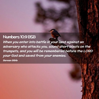 Picture 02 - Numbers 10:9 BSB - When you enter into battle in your land against - Bible Verse Picture