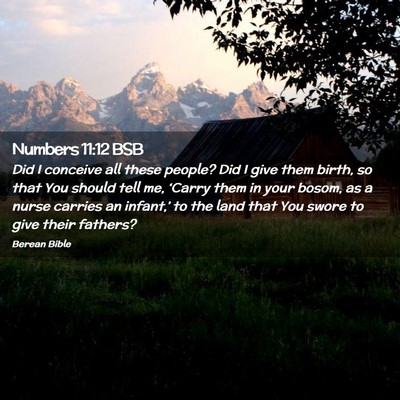 Picture 02 - Numbers 11:12 BSB - Did I conceive all these people? Did I give them - Bible Verse Picture